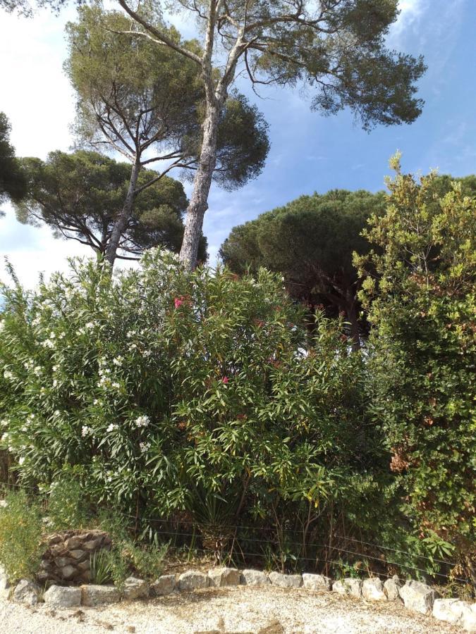 Villa Mediterranea Les Issambres Exterior photo